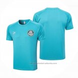 Camiseta de Entrenamiento Palmeiras 23/24 Verde