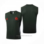 Camiseta de Entrenamiento Bayern Munich Sin Mangas 25/26 Verde