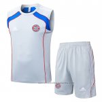 Chandal del Bayern Munich Sin Mangas 25/26 Gris