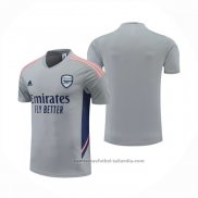 Camiseta de Entrenamiento Arsenal 22/23 Gris