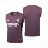Camiseta de Entrenamiento Real Madrid Sin Mangas 25/26 Gris Purpura