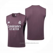 Camiseta de Entrenamiento Real Madrid Sin Mangas 25/26 Gris Purpura