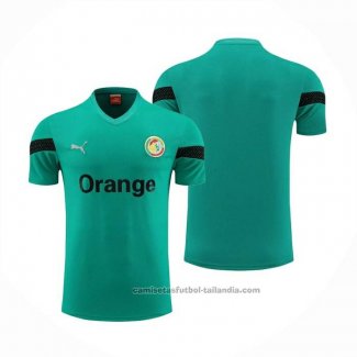 Camiseta de Entrenamiento Senegal 23/24 Verde