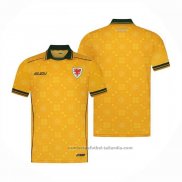Camiseta Gales 2ª 26/27