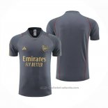 Camiseta de Entrenamiento Arsenal 23/24 Gris