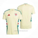 Camiseta Gales 2ª 2024