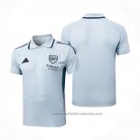 Camiseta Polo del Arsenal 25/26 Gris