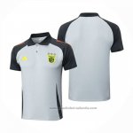 Camiseta Polo del Benfica 24/25 Gris