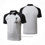 Camiseta Polo del Liverpool 2022/23 Gris
