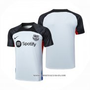 Camiseta de Entrenamiento Barcelona 23/24 Gris