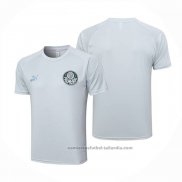 Camiseta de Entrenamiento Palmeiras 23/24 Gris