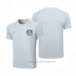 Camiseta de Entrenamiento Palmeiras 23/24 Gris