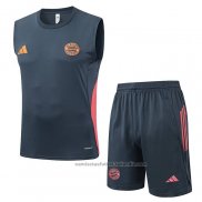 Chandal del Bayern Munich Sin Mangas 25/26 Gris Oscuro