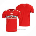 Camiseta Gales 1ª 2026