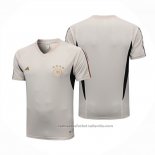 Camiseta de Entrenamiento Alemania 22/23 Gris