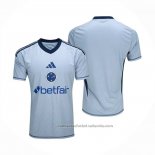 Tailandia Camiseta Cruzeiro Portero Special 2025 Gris
