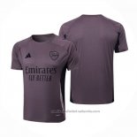 Camiseta de Entrenamiento Arsenal 24/25 Gris Purpura