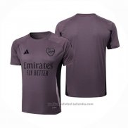 Camiseta de Entrenamiento Arsenal 24/25 Gris Purpura