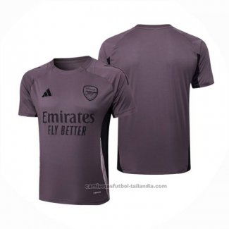 Camiseta de Entrenamiento Arsenal 24/25 Gris Purpura