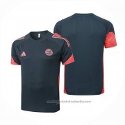 Camiseta de Entrenamiento Bayern Munich 25/26 Gris Oscuro