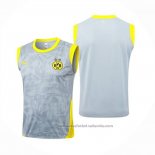 Camiseta de Entrenamiento Borussia Dortmund Sin Mangas 25/26 Gris