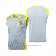 Camiseta de Entrenamiento Borussia Dortmund Sin Mangas 25/26 Gris