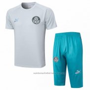 Chandal del Palmeiras Manga Corta 23/24 Gris - Pantalon Corto