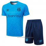 Chandal del Gremio Manga Corta 24/25 Azul - Pantalon Corto