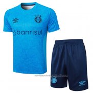 Chandal del Gremio Manga Corta 24/25 Azul - Pantalon Corto