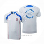 Camiseta de Entrenamiento Bayern Munich 25/26 Gris