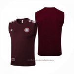 Camiseta de Entrenamiento Bayern Munich Sin Mangas 25/26 Rojo