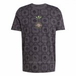 Camiseta Pre Partido del Bayern Munich 25/26 Gris