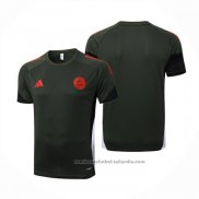Camiseta de Entrenamiento Bayern Munich 25/26 Verde