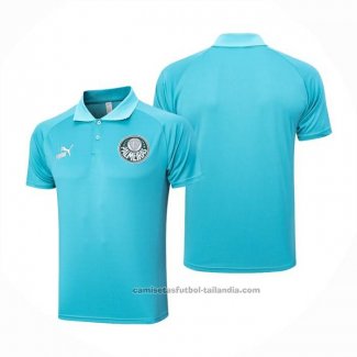 Camiseta Polo del Palmeiras 2023-2024 Verde