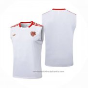 Camiseta de Entrenamiento Bayern Munich Sin Mangas 25/26 Blanco