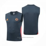 Camiseta de Entrenamiento Bayern Munich Sin Mangas 25/26 Gris Oscuro