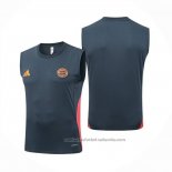 Camiseta de Entrenamiento Bayern Munich Sin Mangas 25/26 Gris Oscuro