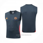 Camiseta de Entrenamiento Bayern Munich Sin Mangas 25/26 Gris Oscuro