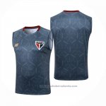 Camiseta de Entrenamiento Sao Paulo Sin Mangas 25/26 Gris