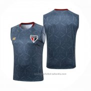Camiseta de Entrenamiento Sao Paulo Sin Mangas 25/26 Gris