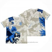 Tailandia Camiseta Brasil Special 25/26 Gris Azul